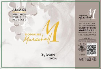 Sylvaner